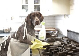 Dog Cleaning Stove