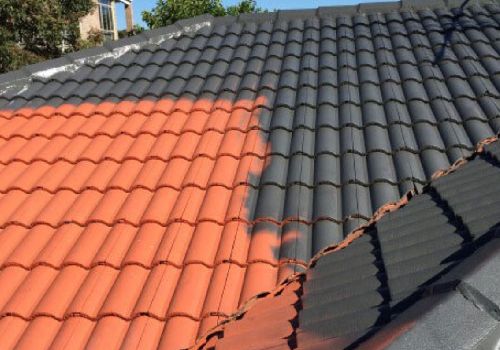 Roof Painting img1