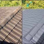 Roof Painting